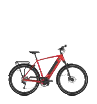 Class 3 Electric Bicycle