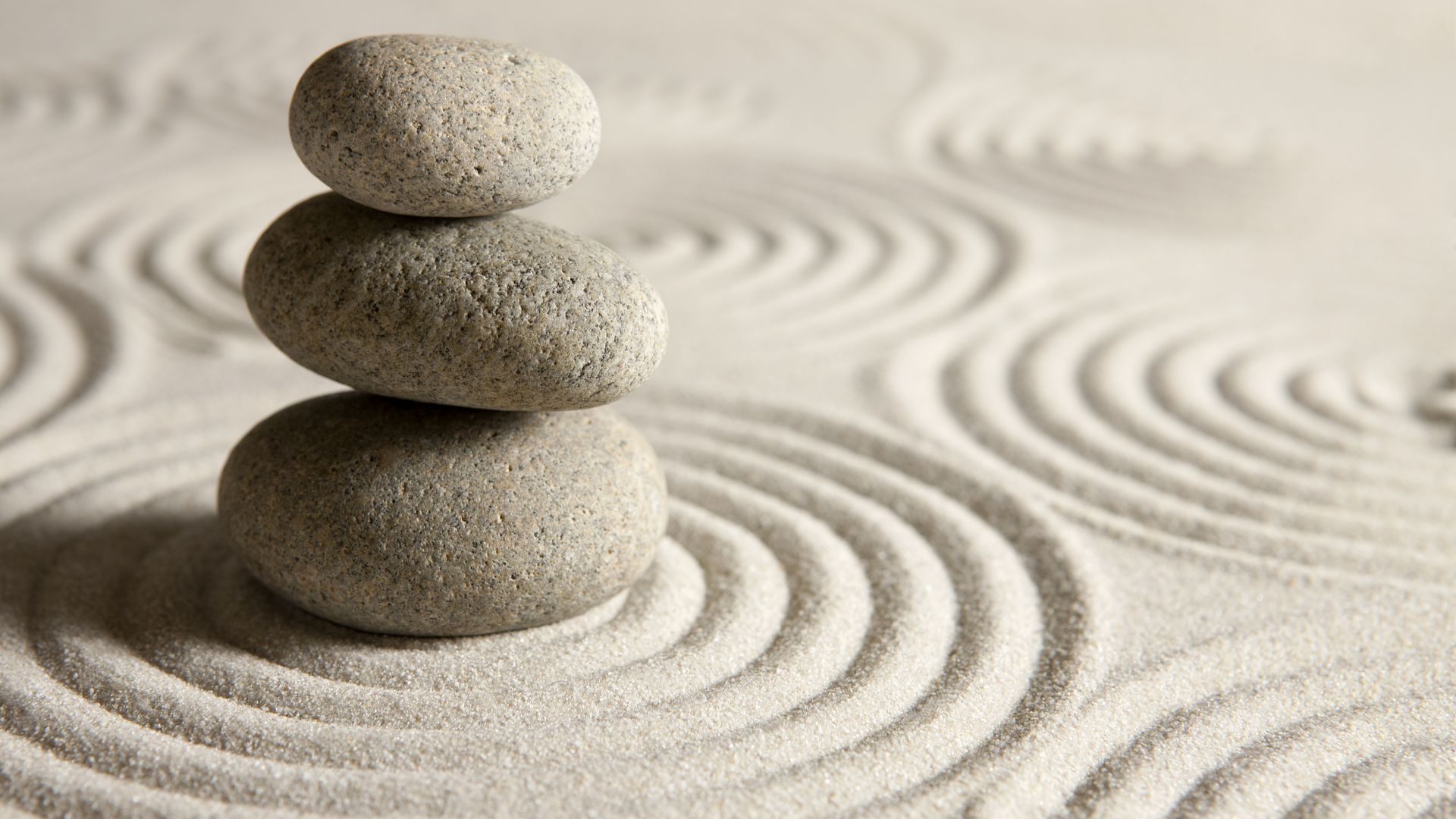 Servicios de prevención y tratamiento del abuso de sustancias (SAPT)