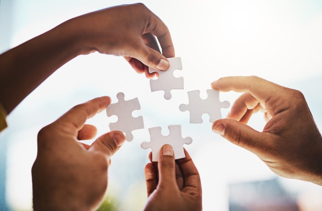 Molina Health Plan Transition Planning Overview