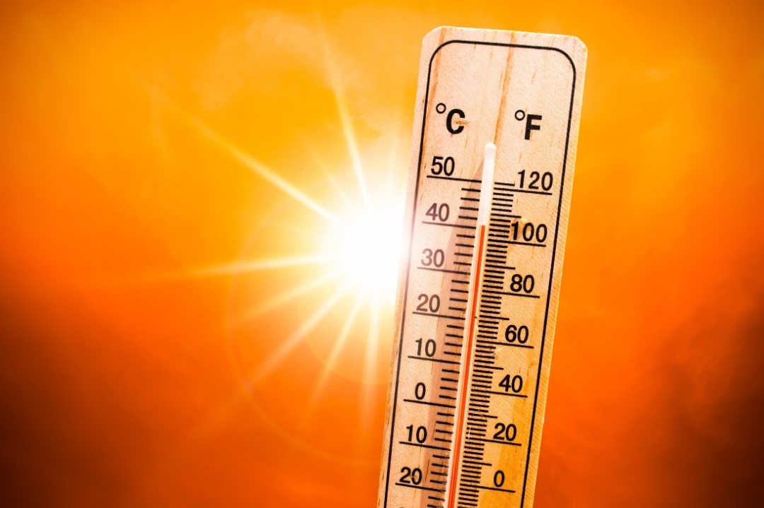 La diversión del verano comienza aquí.