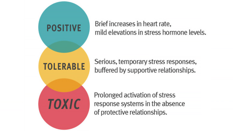 ACEs & Trauma Informed Care